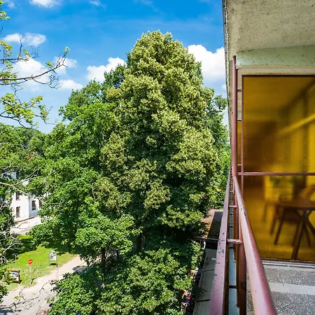 Ce Napfeny שיופוק