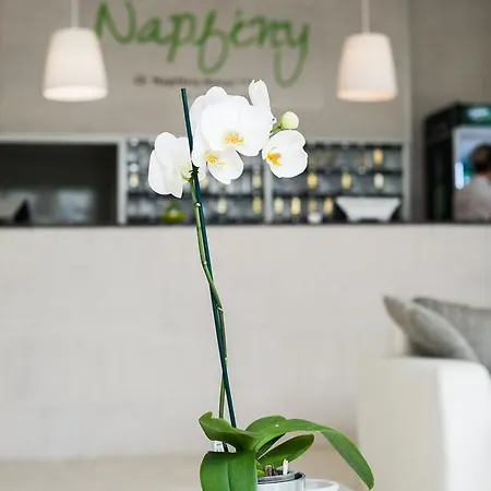 ホテル Ce Napfeny 3*