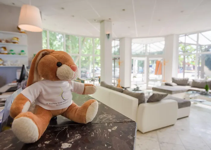 酒店 Ce那坡凡尼酒店 3*